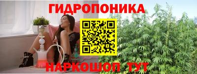 спайс Гудермес