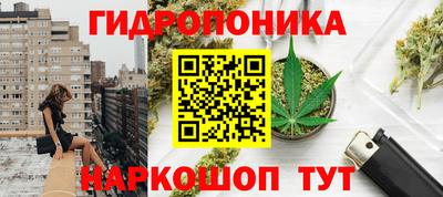 спайс Гудермес
