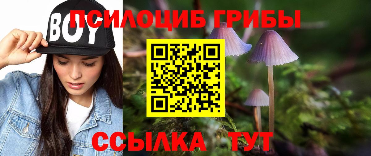Верхняя Салда  купить   Вход с VPN  Галлюциногенные грибы мухоморы  Галлюциногенные грибы прущие грибы 