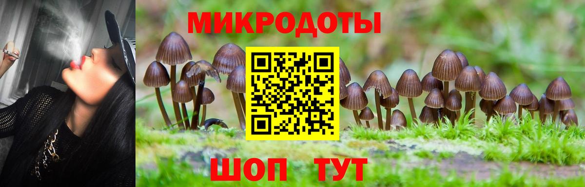 Псилоцибиновые грибы Magic Shrooms Верхняя Салда